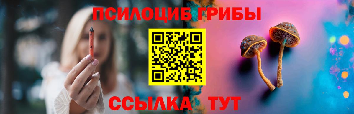 Псилоцибиновые грибы Cubensis Урюпинск