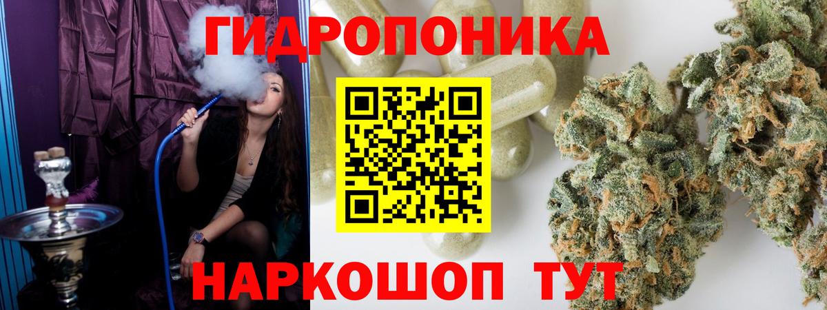 Бошки Шишки план Урюпинск